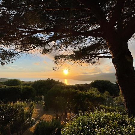 Residence Ile De Beaute Propriano  Dış mekan fotoğraf