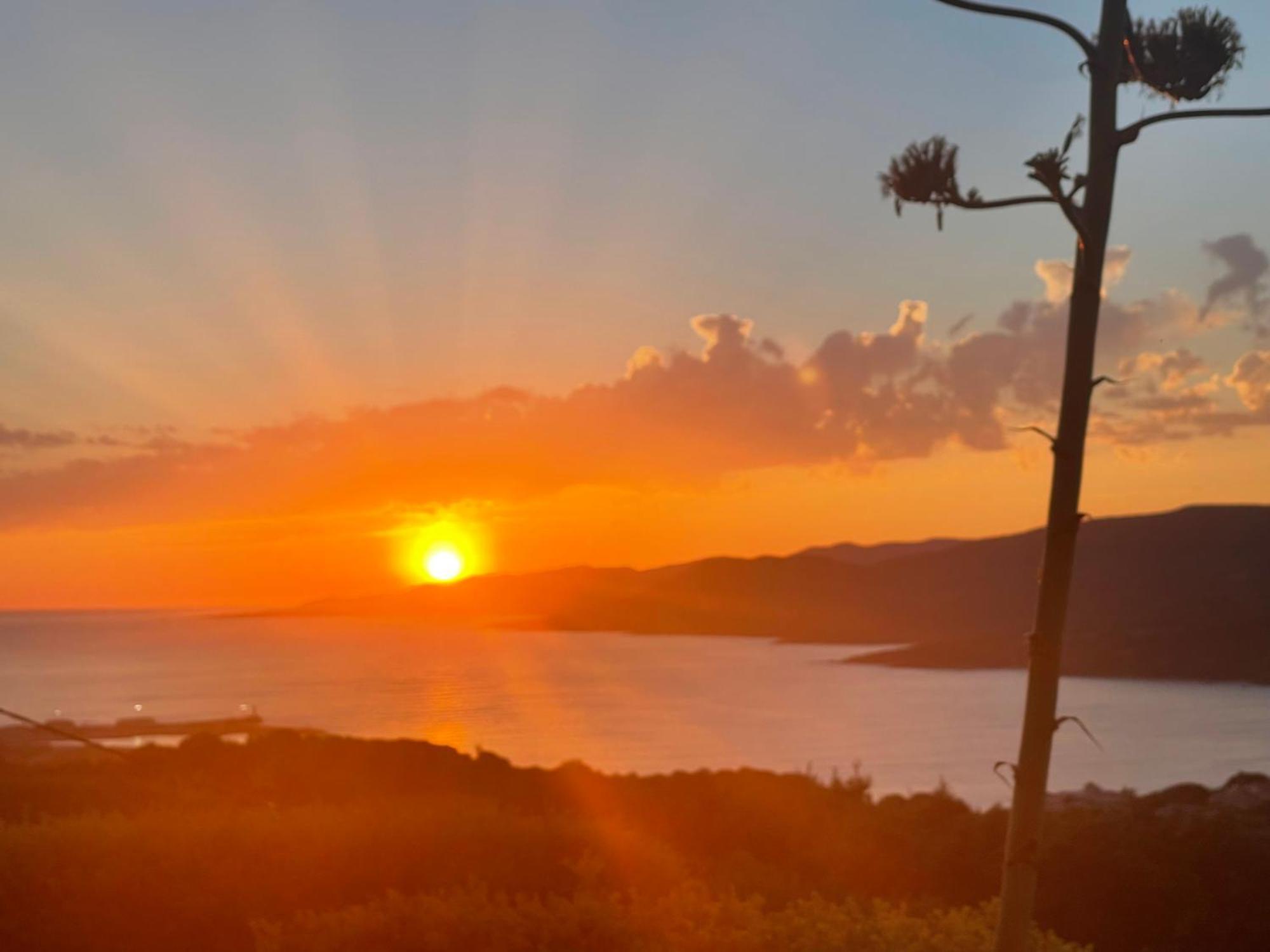 Residence Ile De Beaute Propriano  Dış mekan fotoğraf