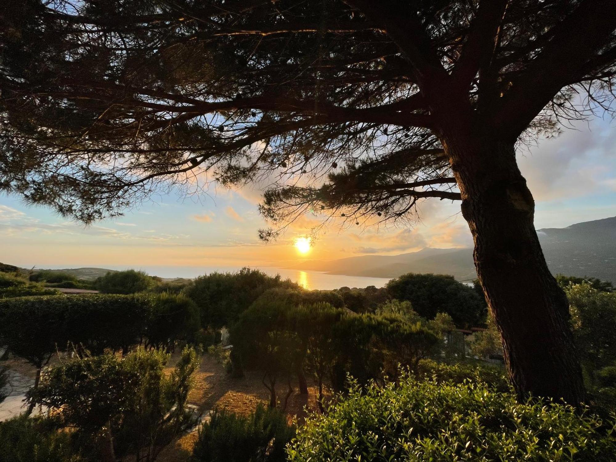 Residence Ile De Beaute Propriano  Dış mekan fotoğraf