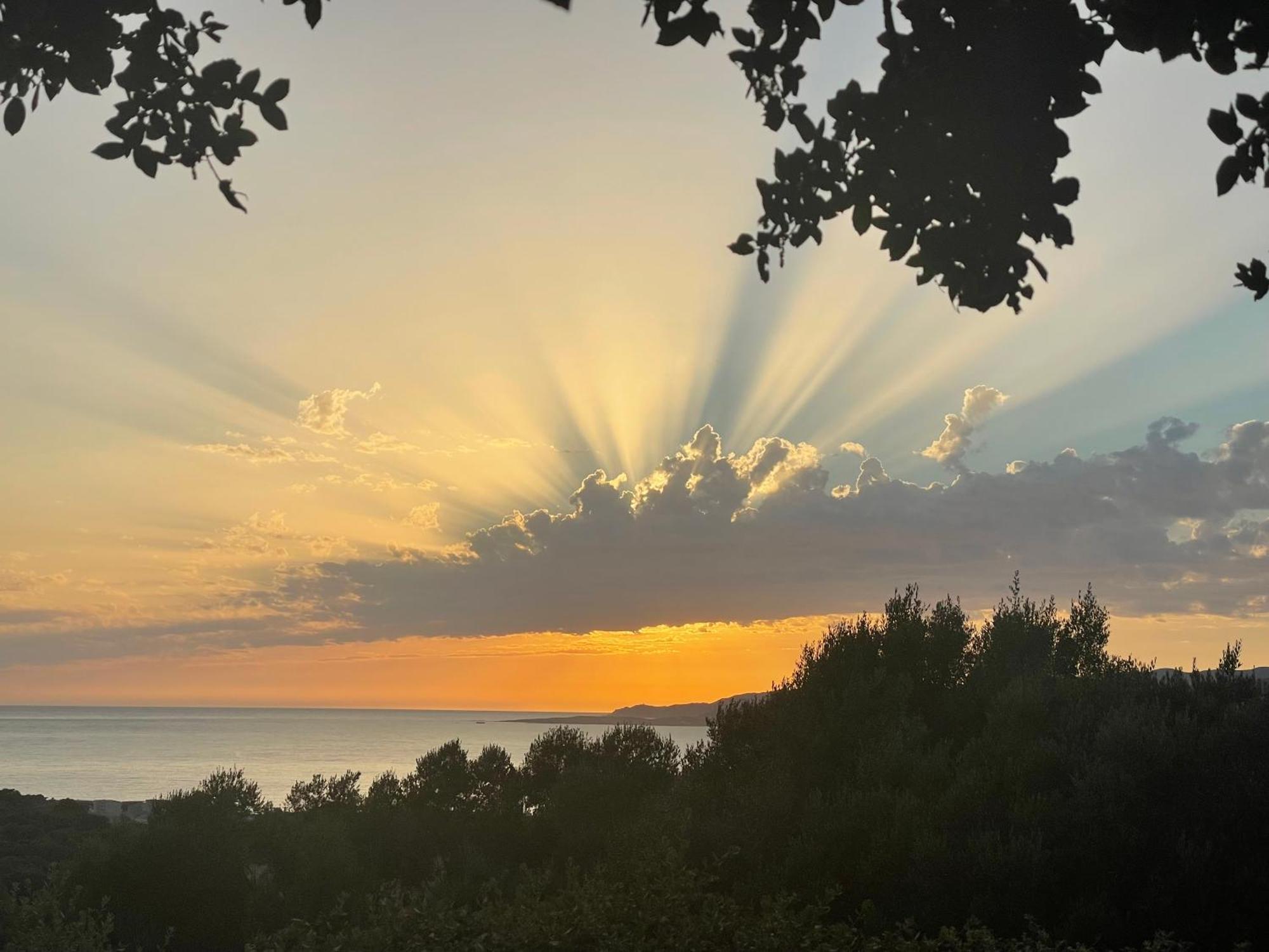 Residence Ile De Beaute Propriano  Dış mekan fotoğraf