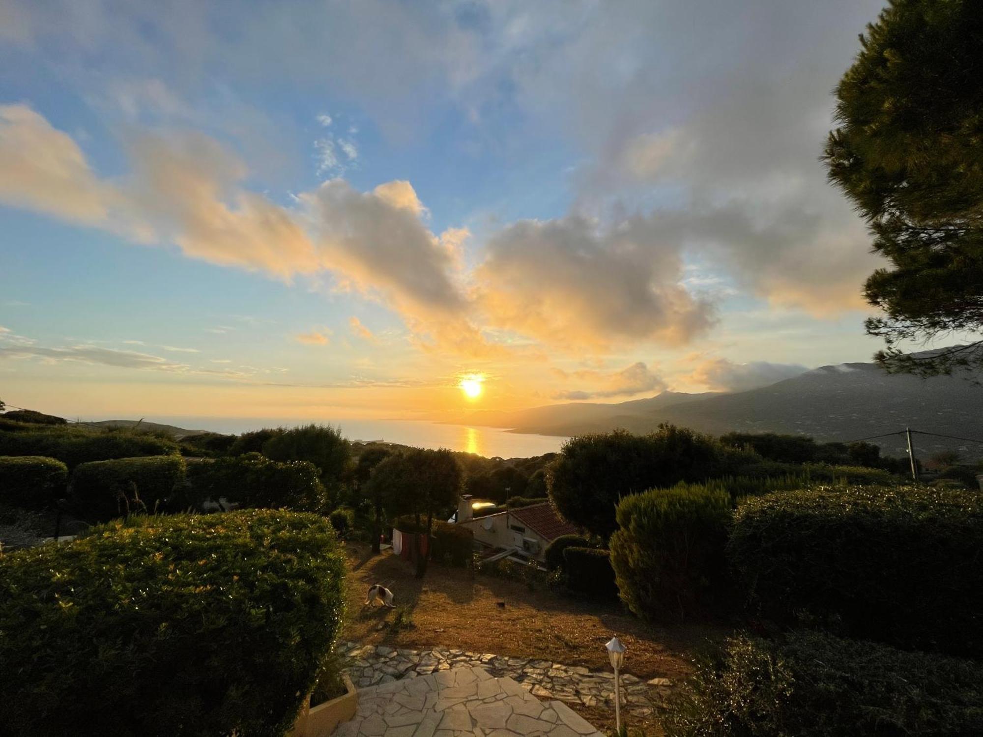 Residence Ile De Beaute Propriano  Dış mekan fotoğraf