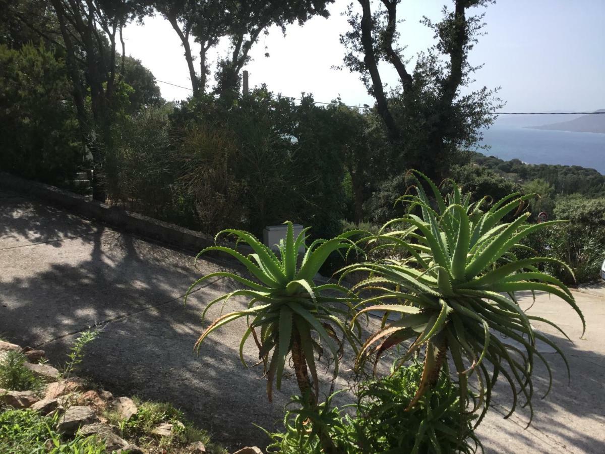 Residence Ile De Beaute Propriano  Dış mekan fotoğraf