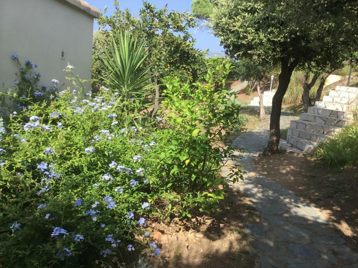 Residence Ile De Beaute Propriano  Dış mekan fotoğraf